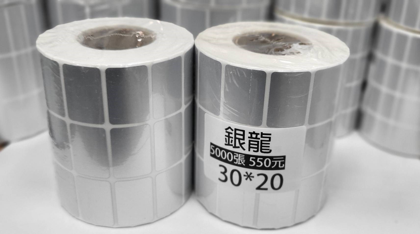 銀龍30*20mm 啞銀龍貼紙 消光銀貼紙